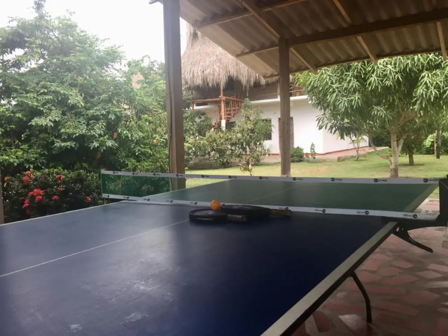 Palomino Breeze Hostal