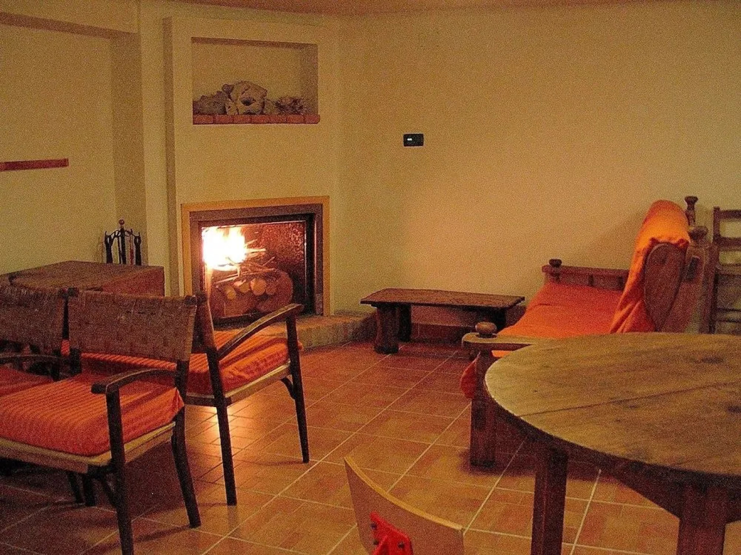 B&B Animali Selvaggi