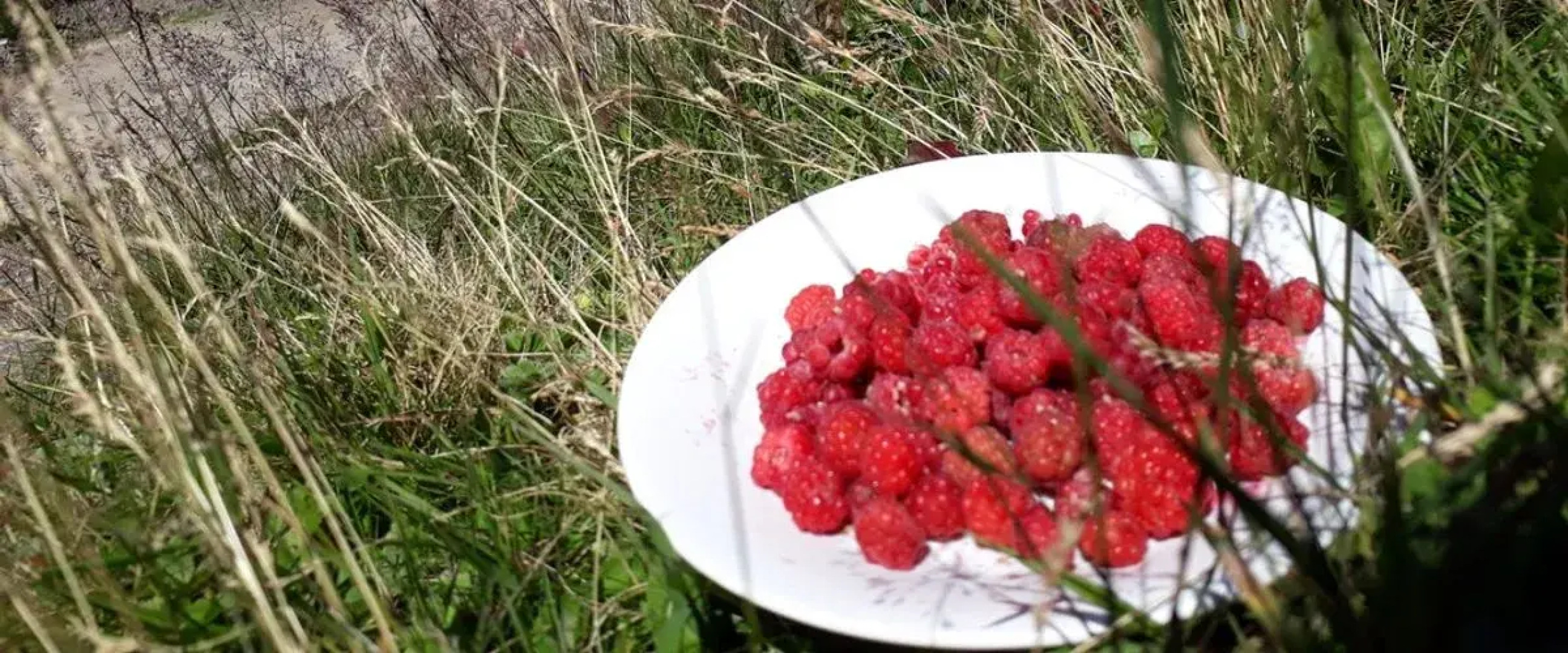 Migroras Otel & Restaurant - Karestel Yaylasi