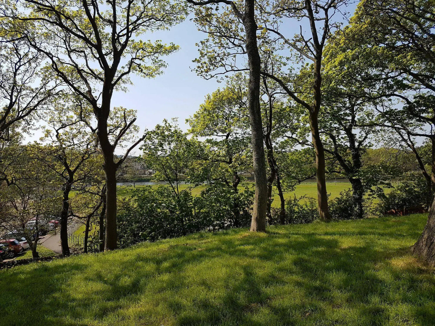 Annfield House Hotel