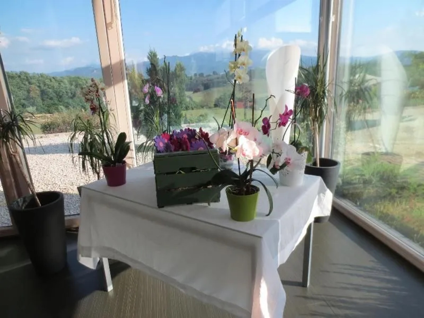 Agriturismo Bio Relais Terra del Vento