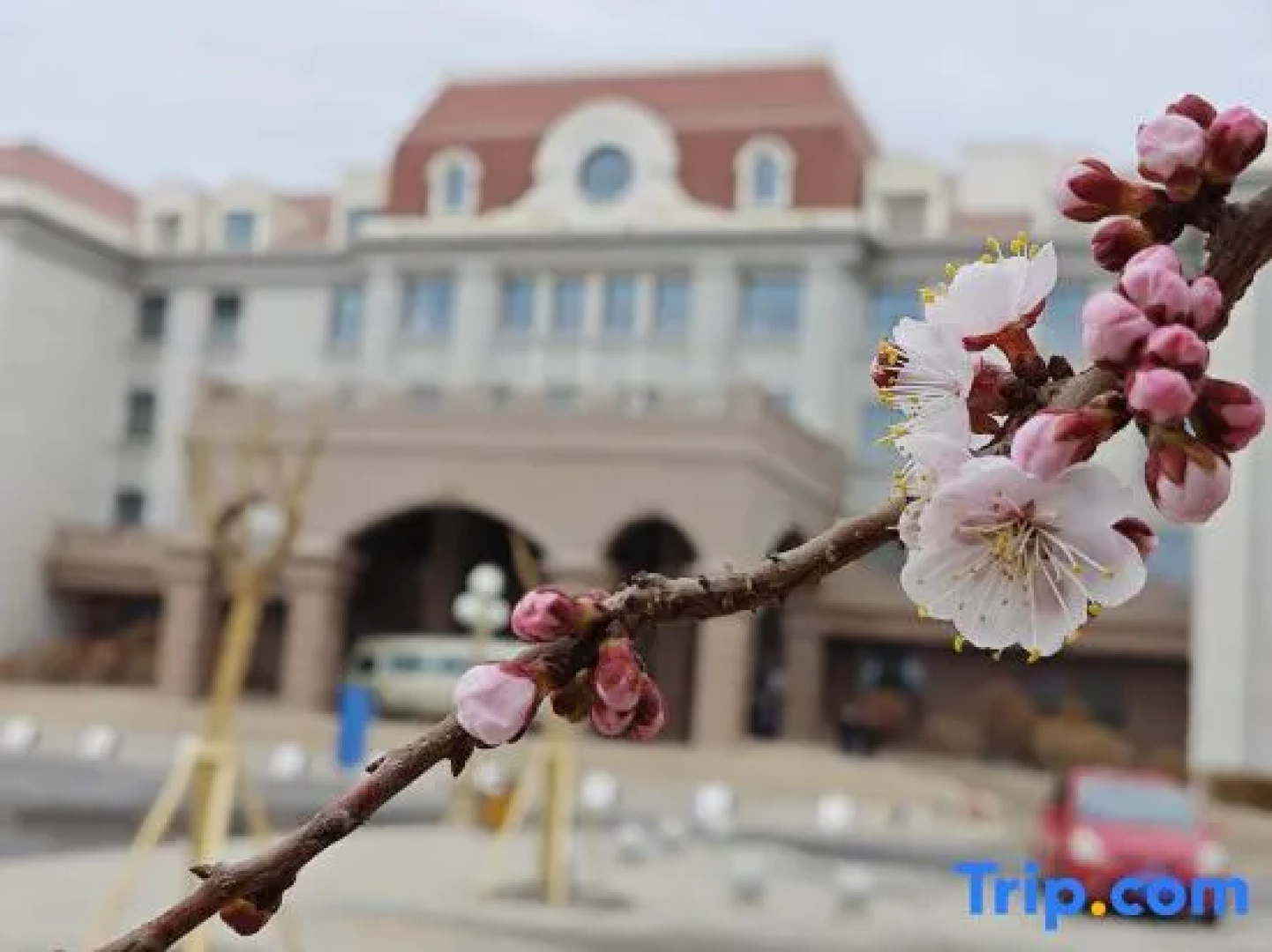 Shuangcheng Hotel