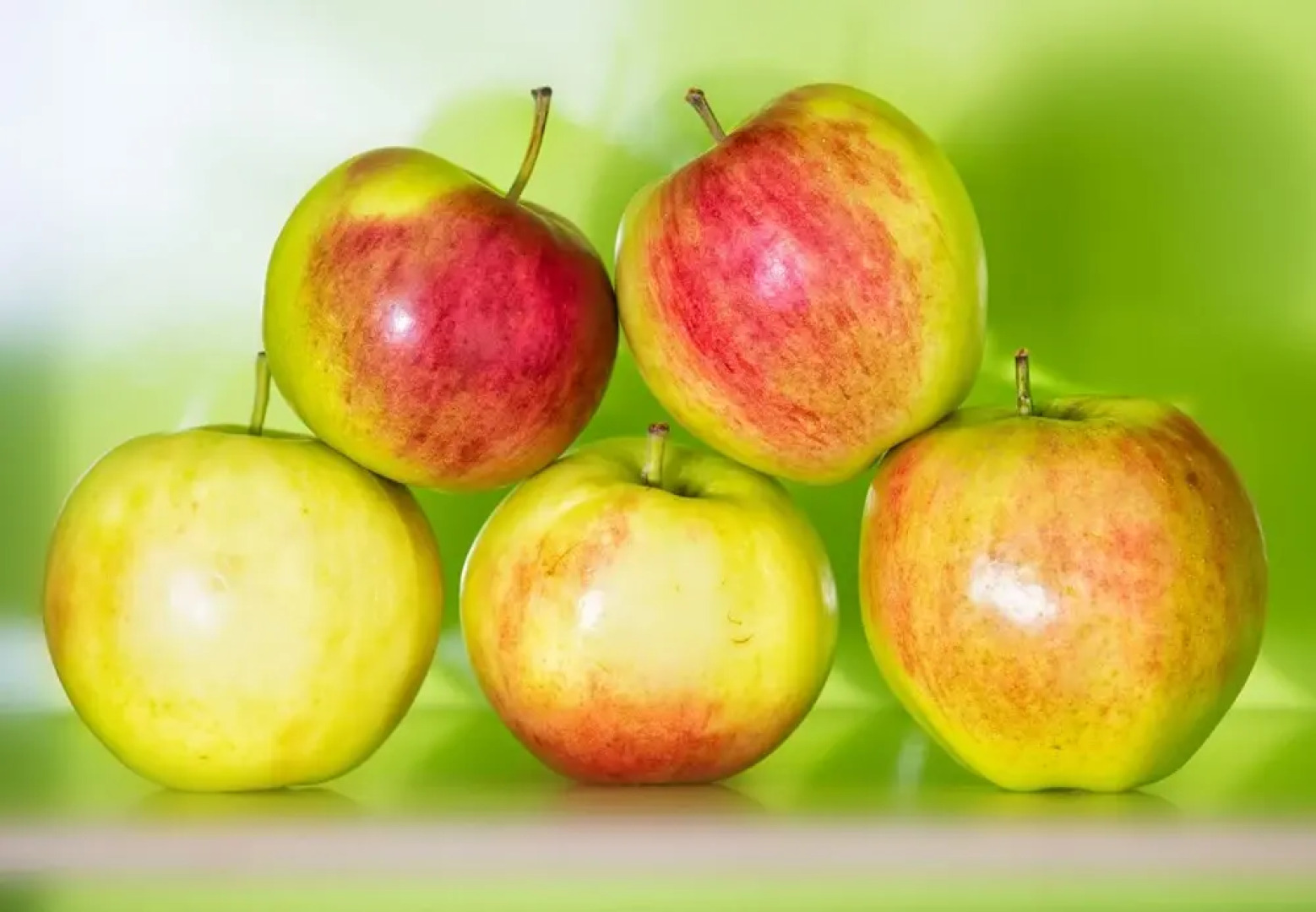 flexy.motel Ebnat-Kappel by b_smart