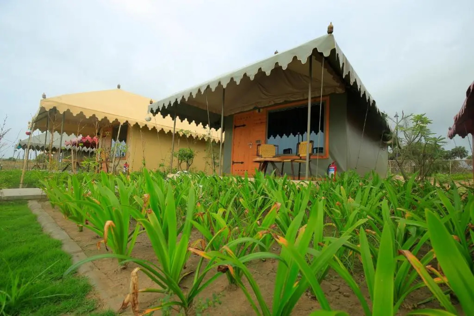 The Fern Seaside Luxurious Tent Resort