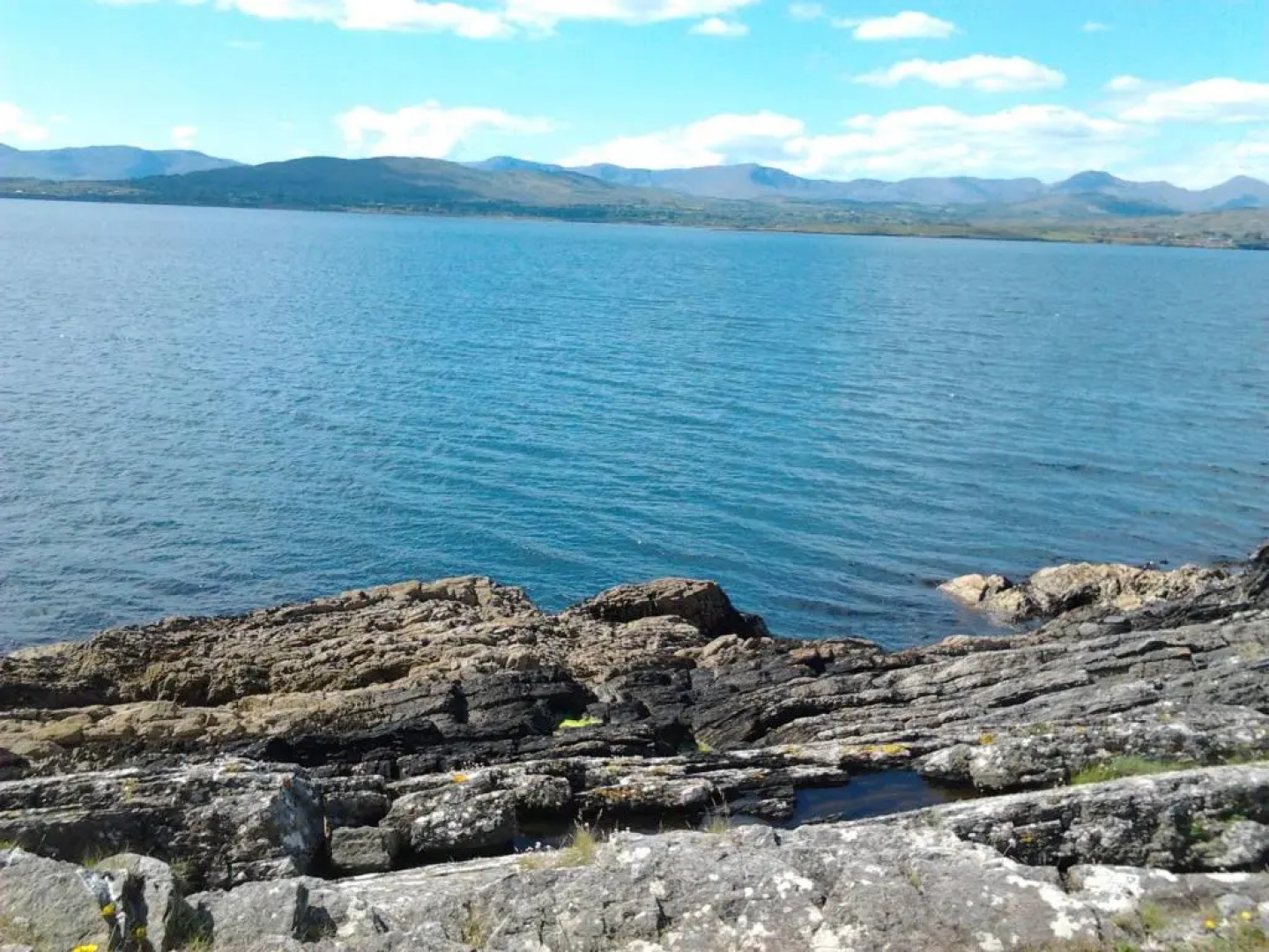 Westland Apartment No. 1