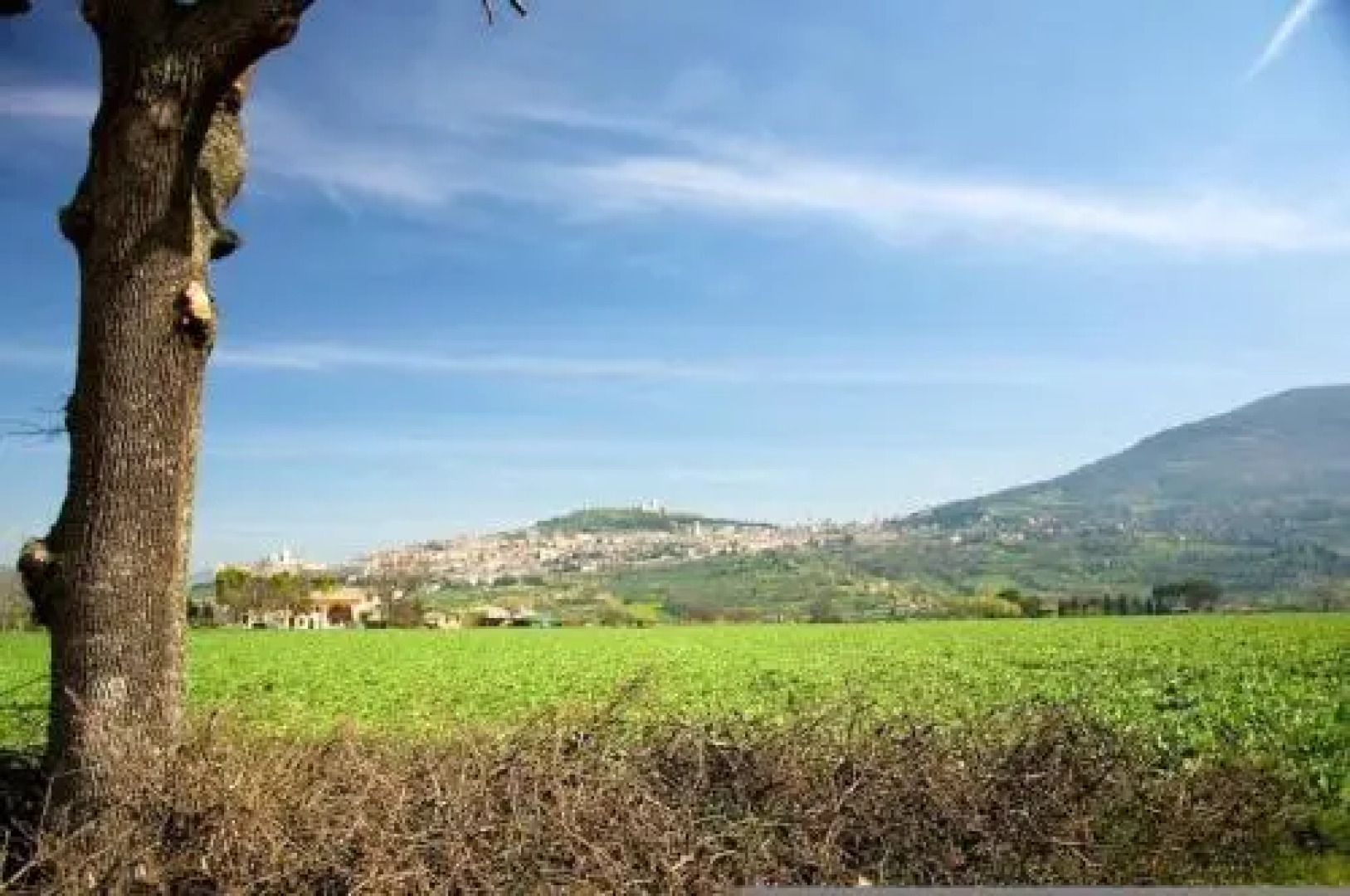 La Terra Di Francesco