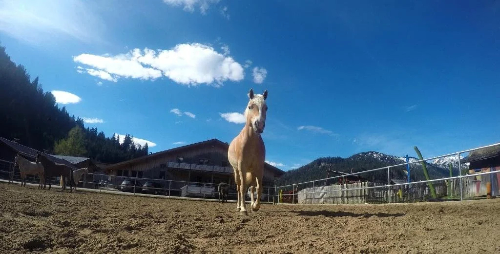Reiterhof Berggut Gaicht