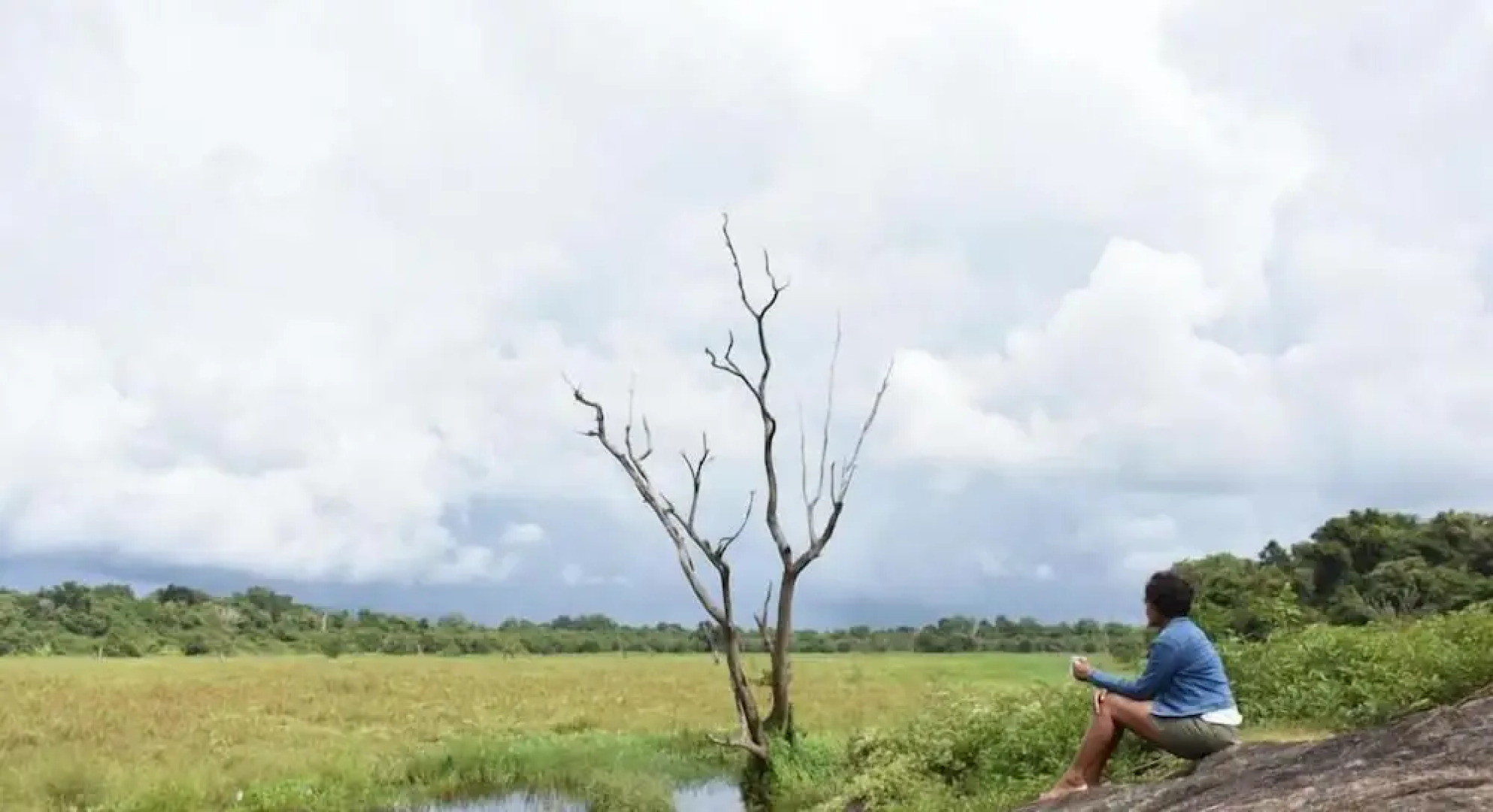 Explorer by Mahoora - Wasgamuwa