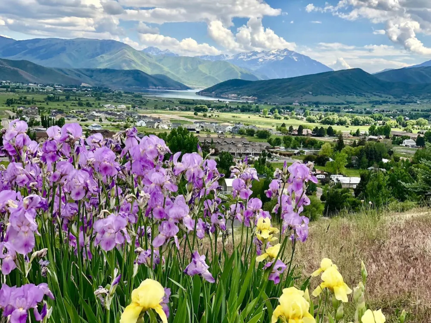 Family Getaway~pool, Tubing, Skiing, & Ice Castles Villa 1002 1 Bedroom Villa by RedAwning