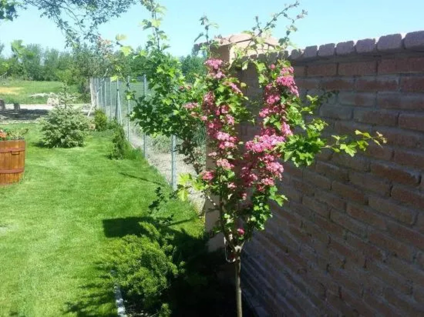 Chalupa Majer Biffár