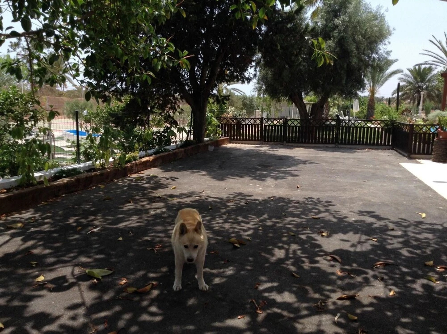 Villa Carrer Del Pa Blanc Elx