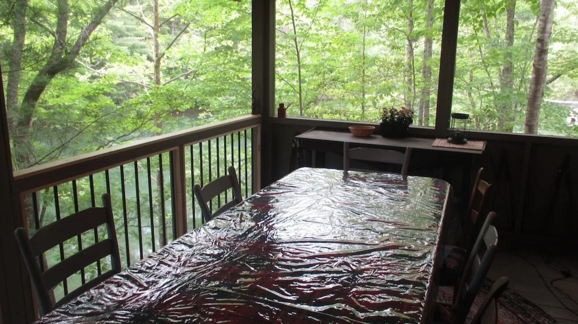 Lake Santeetlah Log Cabin