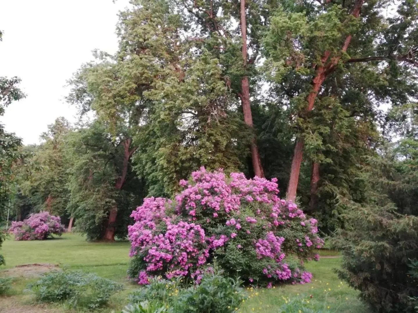 Pālena apartamenti
