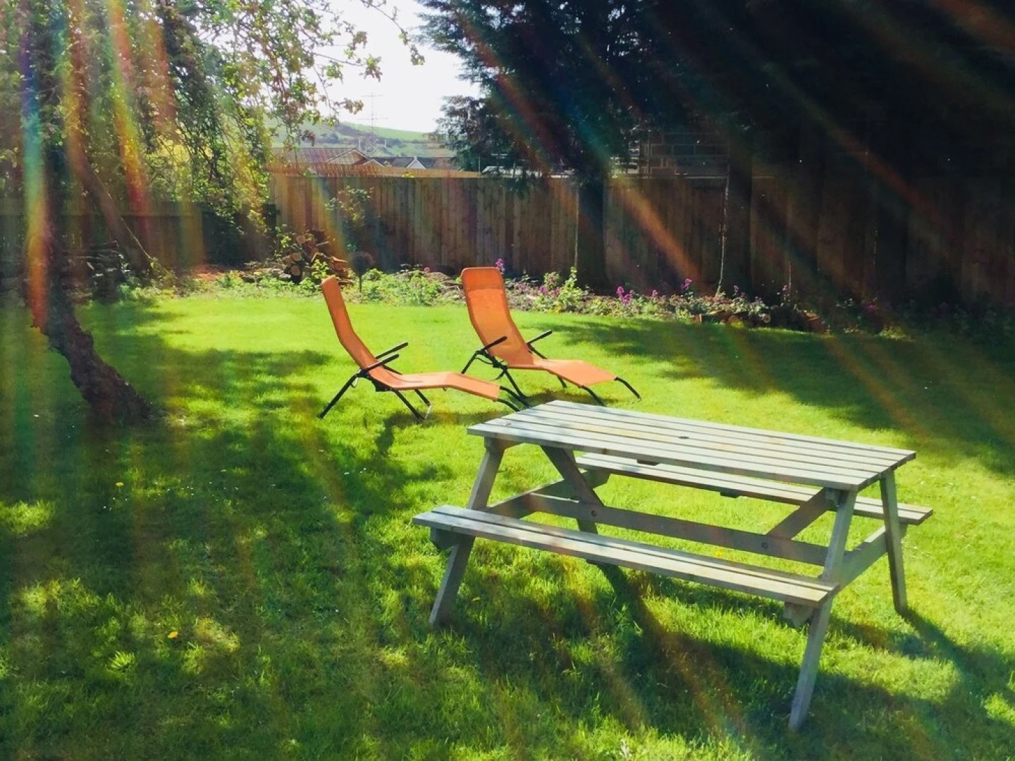 Bridgend Farm Wooler