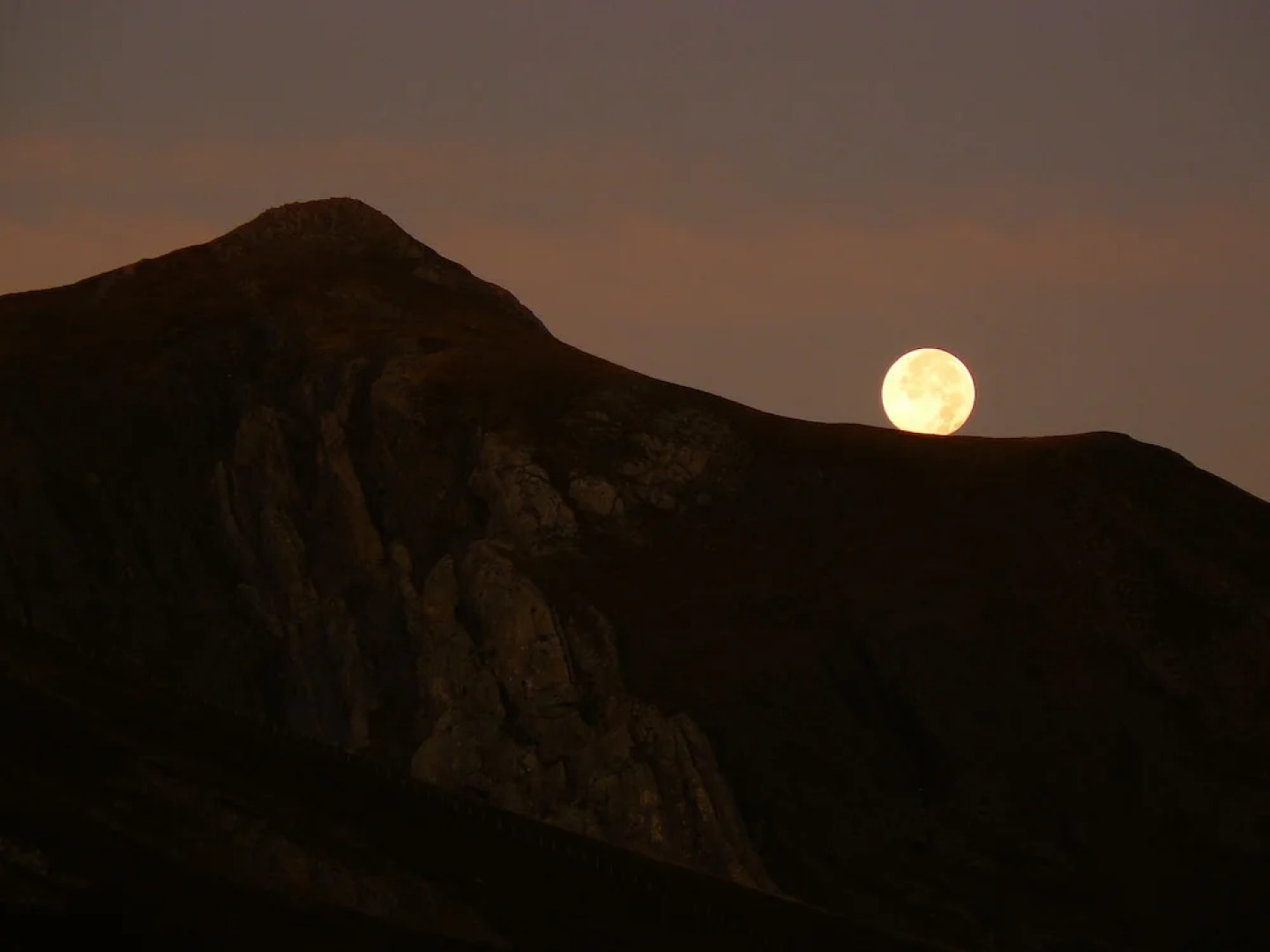 Apartamentos Nevandi