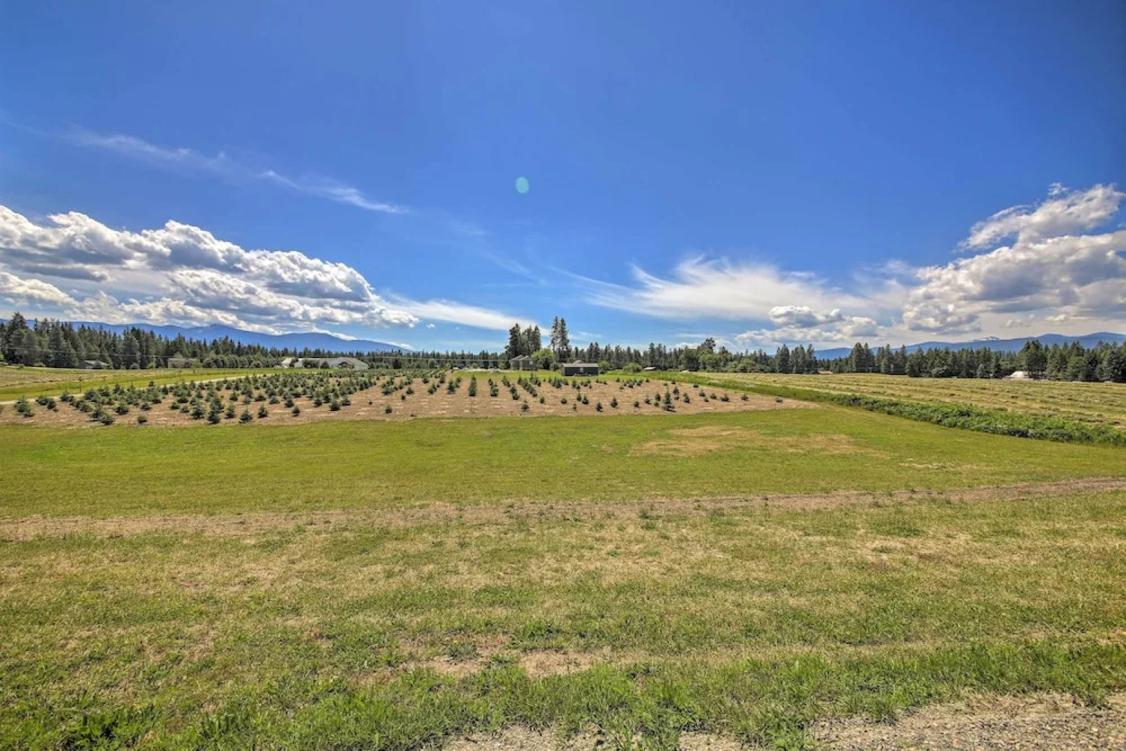 Serene Kootenai Cabin - 3 Mi to Dtwn & River!