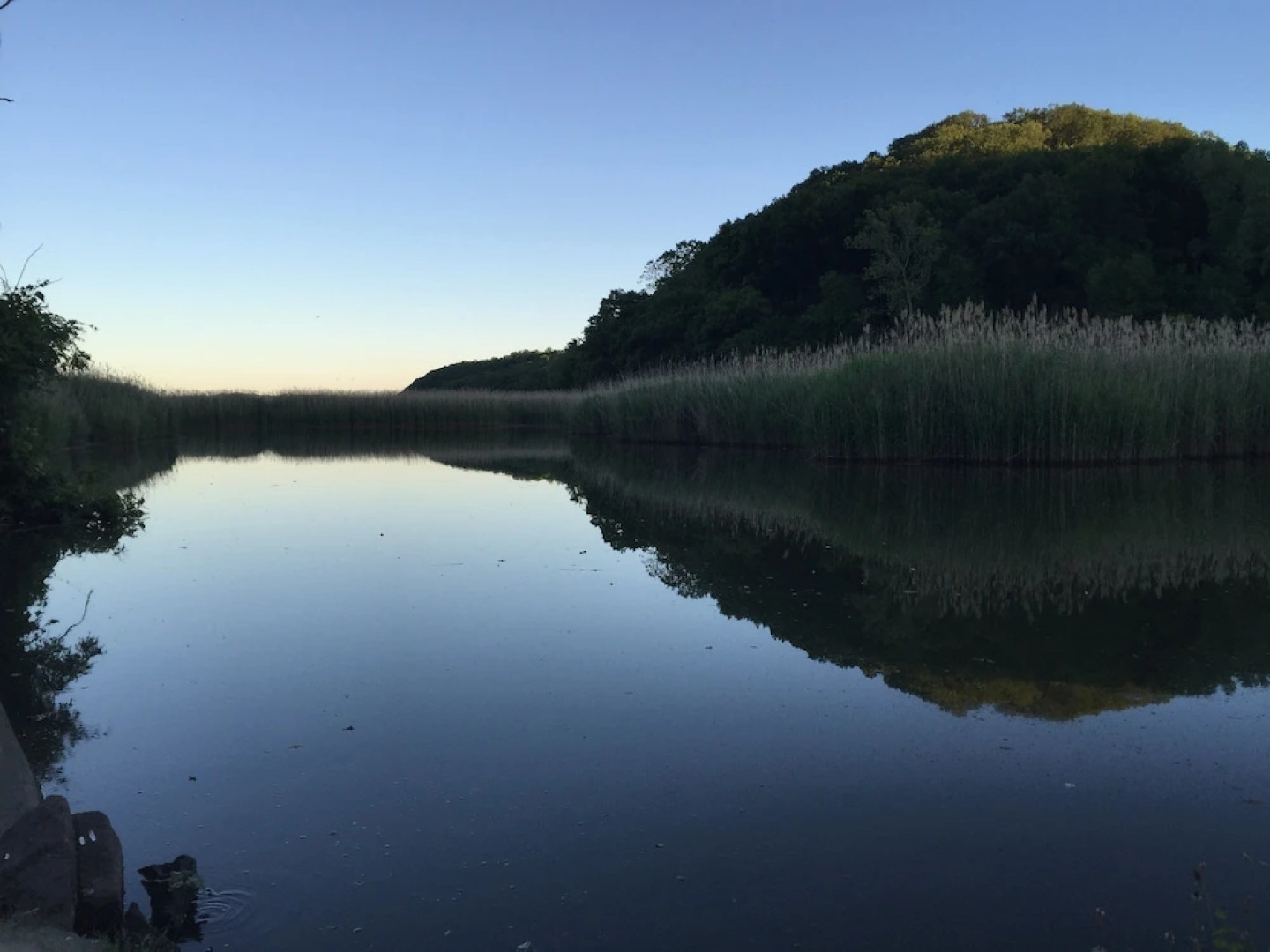 Riverview Bed & Breakfast