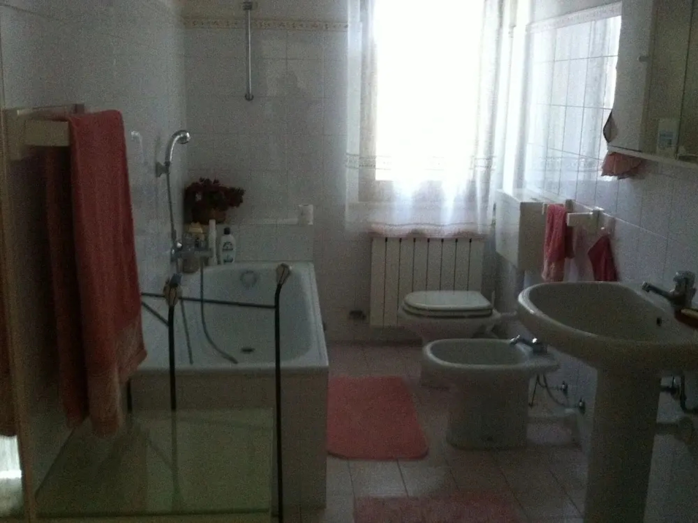 Shimmering Serenity in Pastrengo