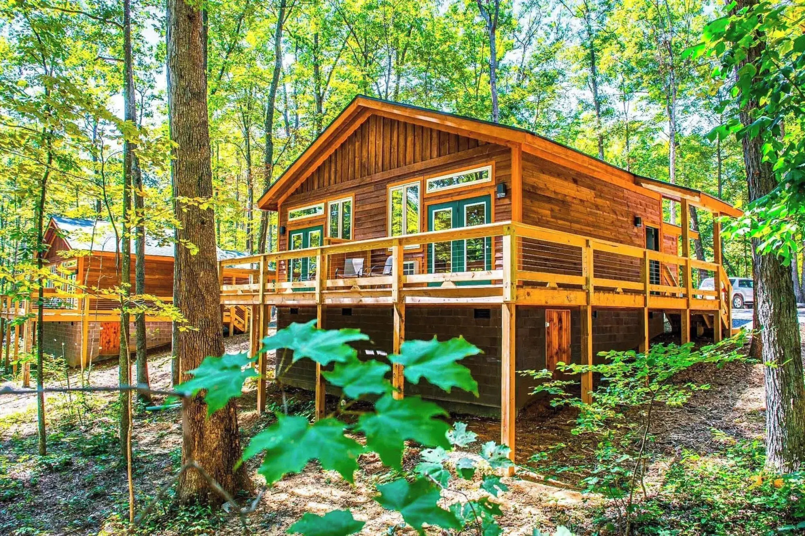 Adventures on the Gorge