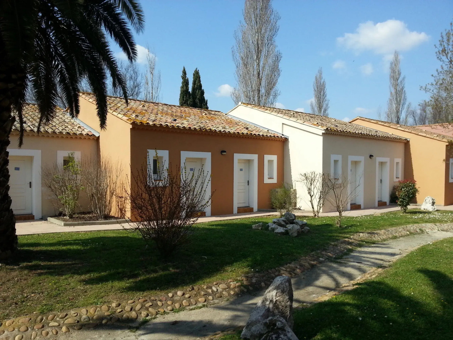 Adonis Arles by Olydea