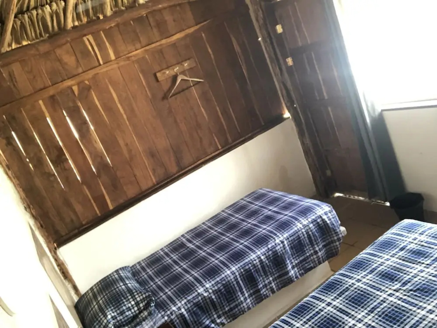 Paraiso Cocoyito Chelem 1