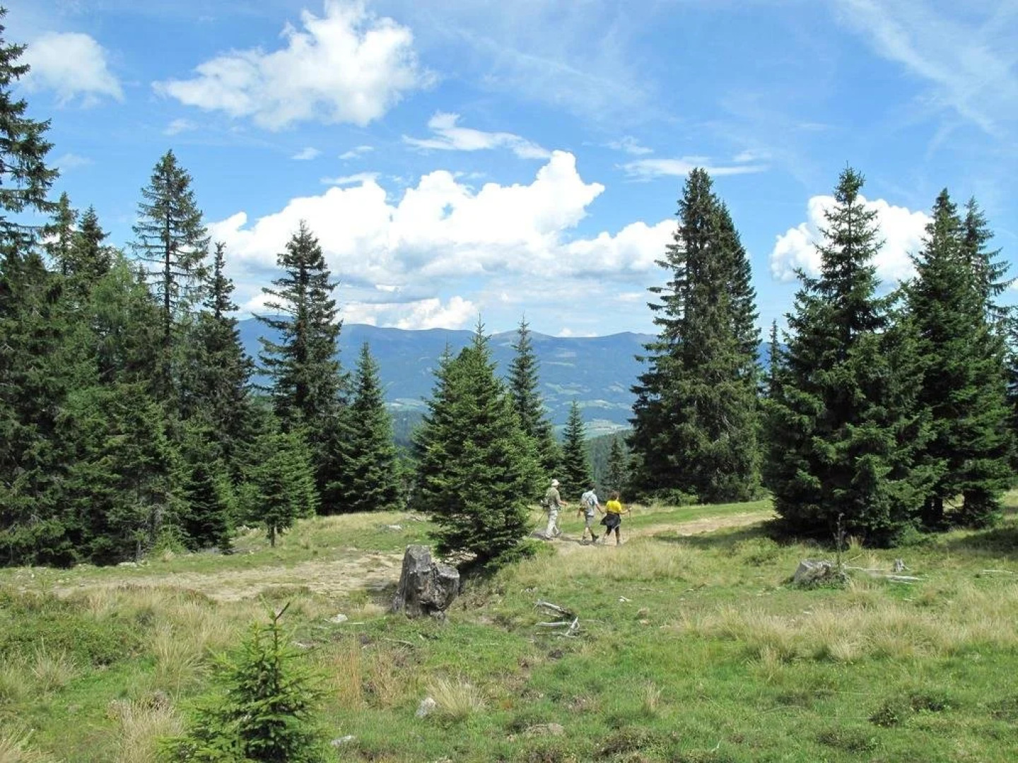 Hotel Alpengasthof Hochegger