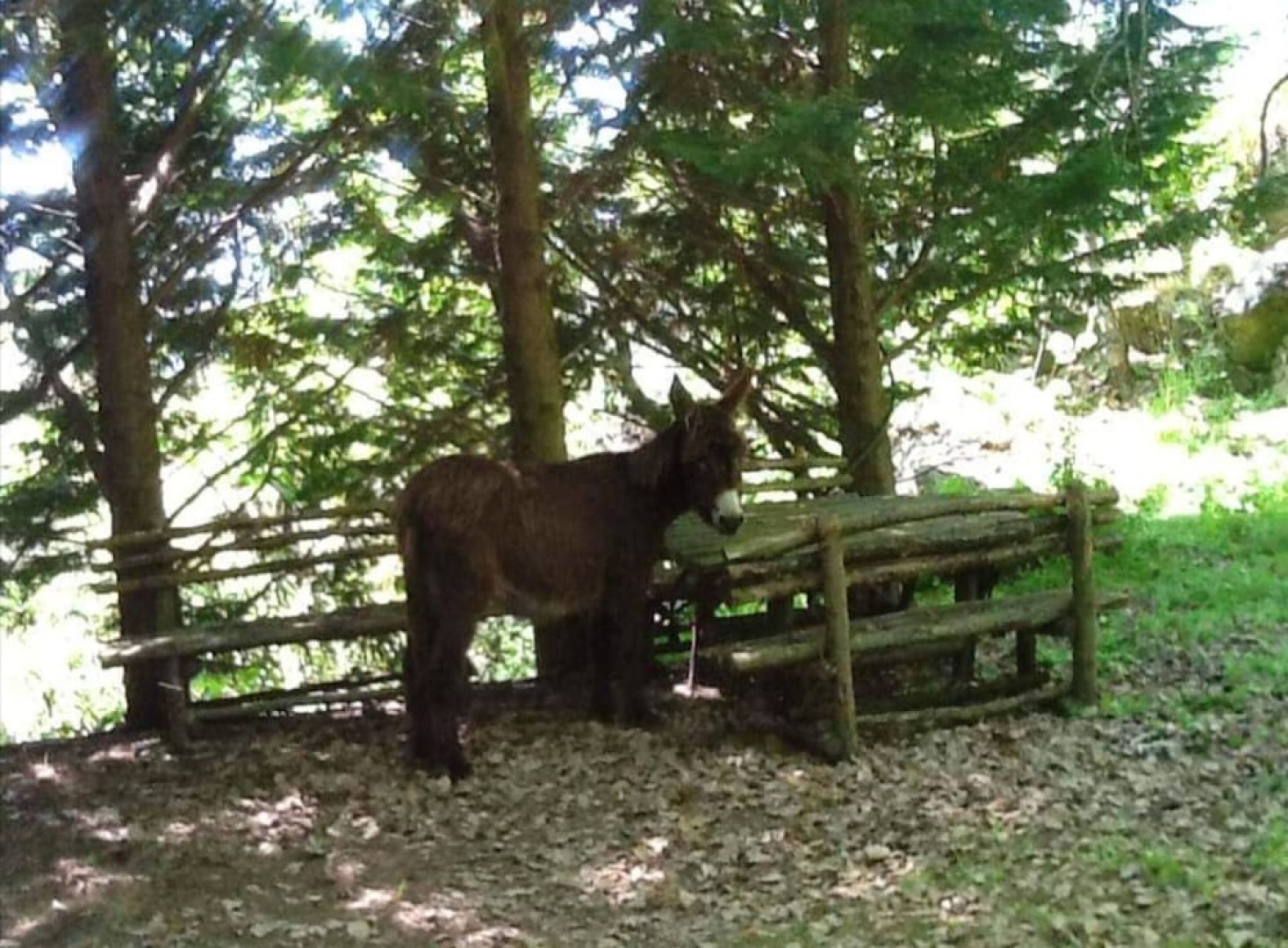 House With 2 Bedrooms in Troina, With Enclosed Garden - 60 km From the Beach