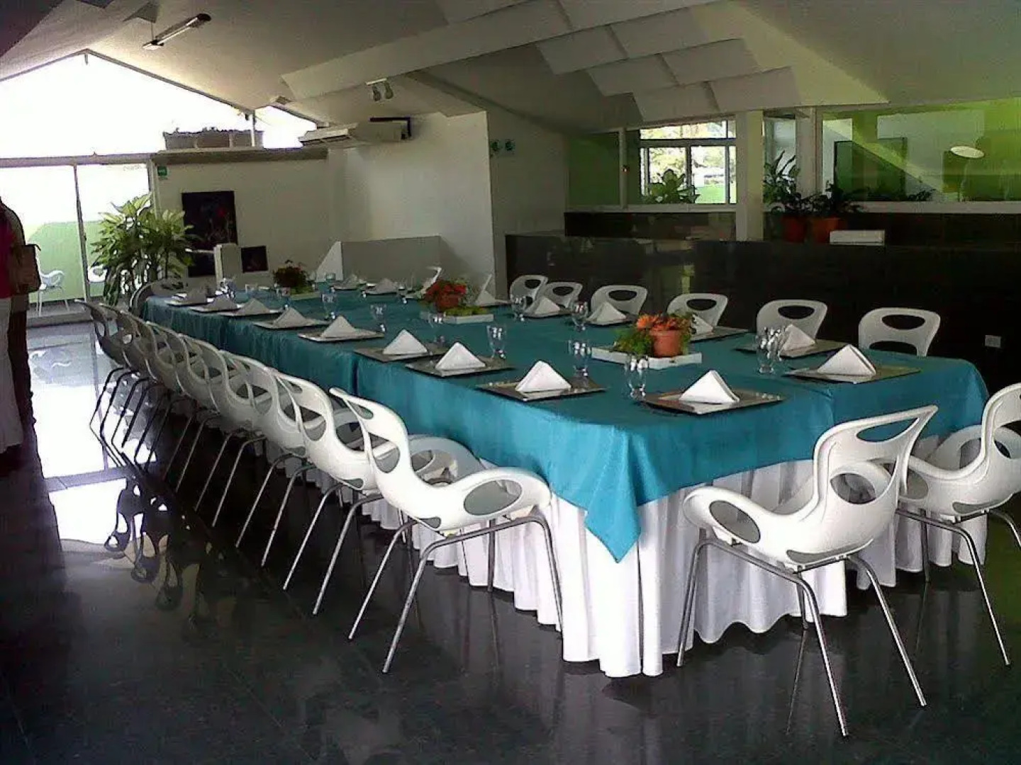 Hotel Casa del Arbol