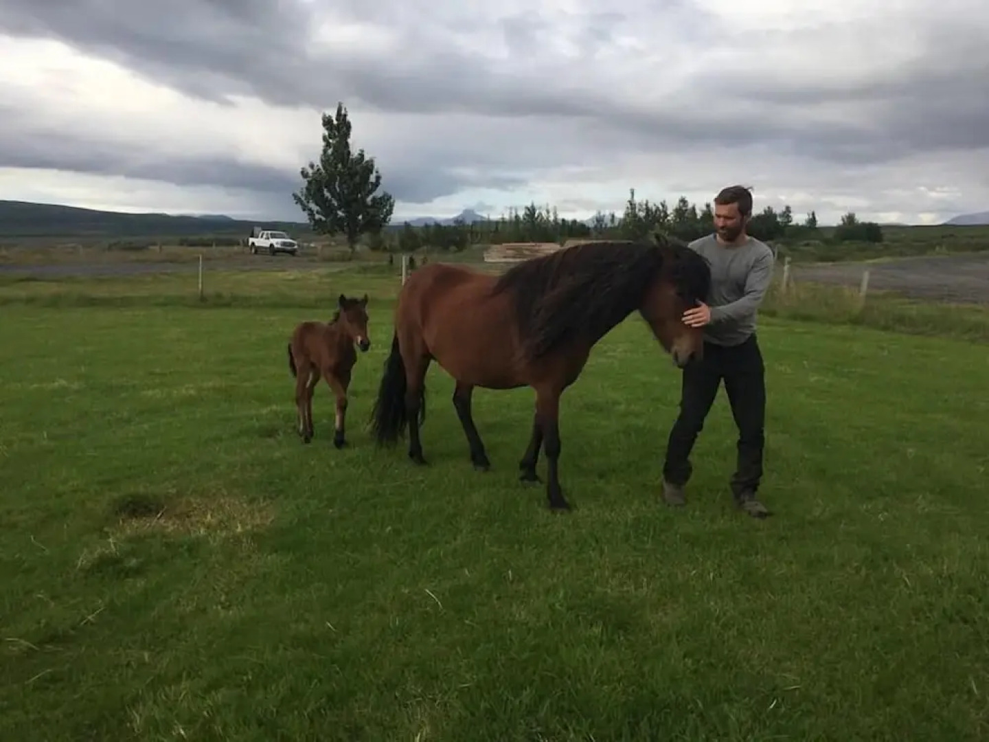 Skálinn between Gullfoss and Geysir – Myrkholt Farm