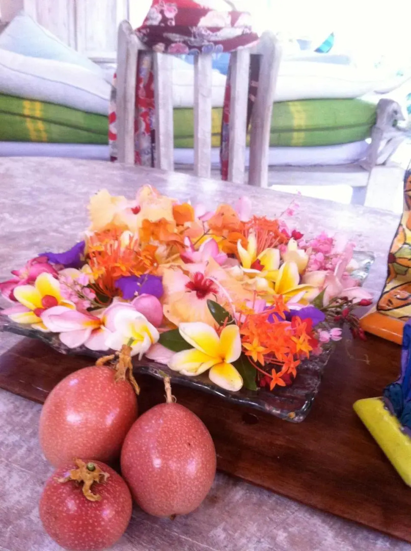 Shady Grove Healing Centre and Homestay