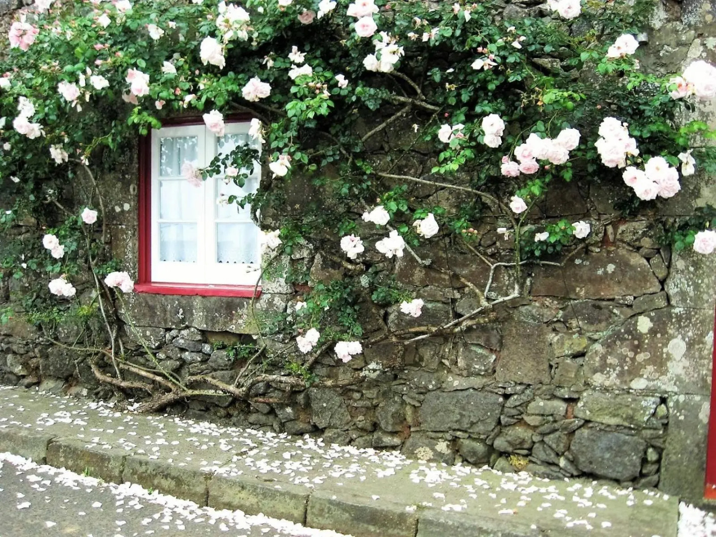 BmyGuest - Casa da Roseira