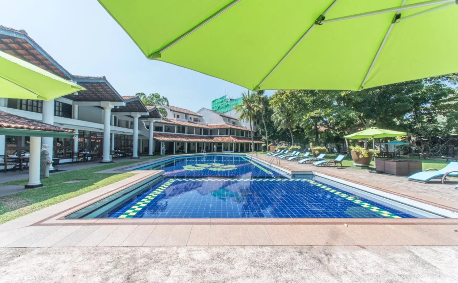 Palms, Mount Lavinia