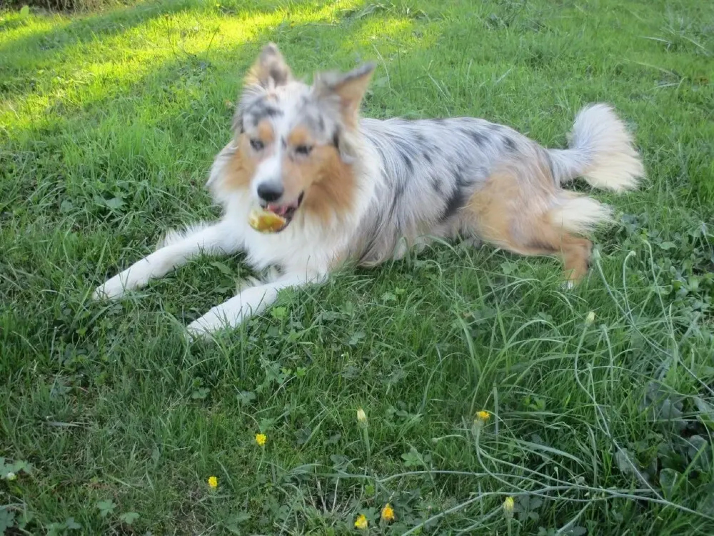 Le gîte de la Petite Résie