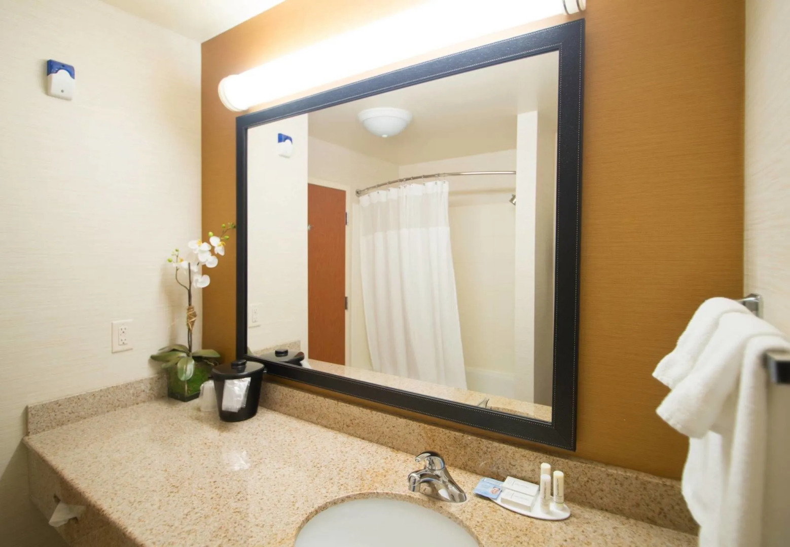 Fairfield Inn and Suites by Marriott Burley