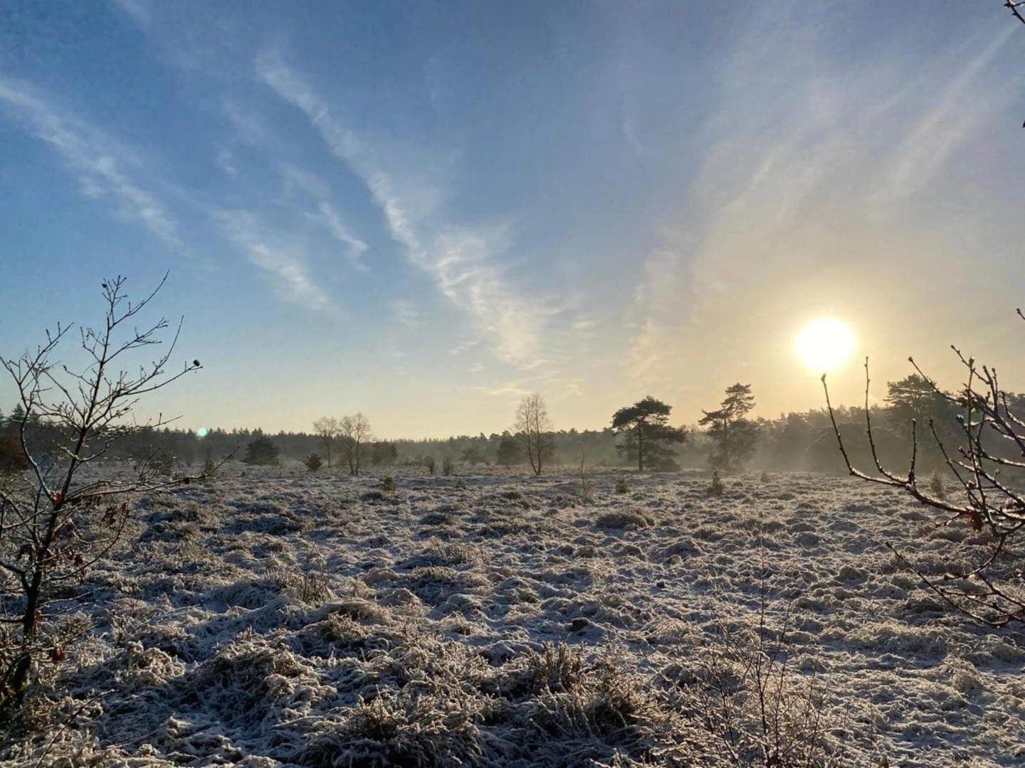 Inviting bungalow in Gelderland with garden
