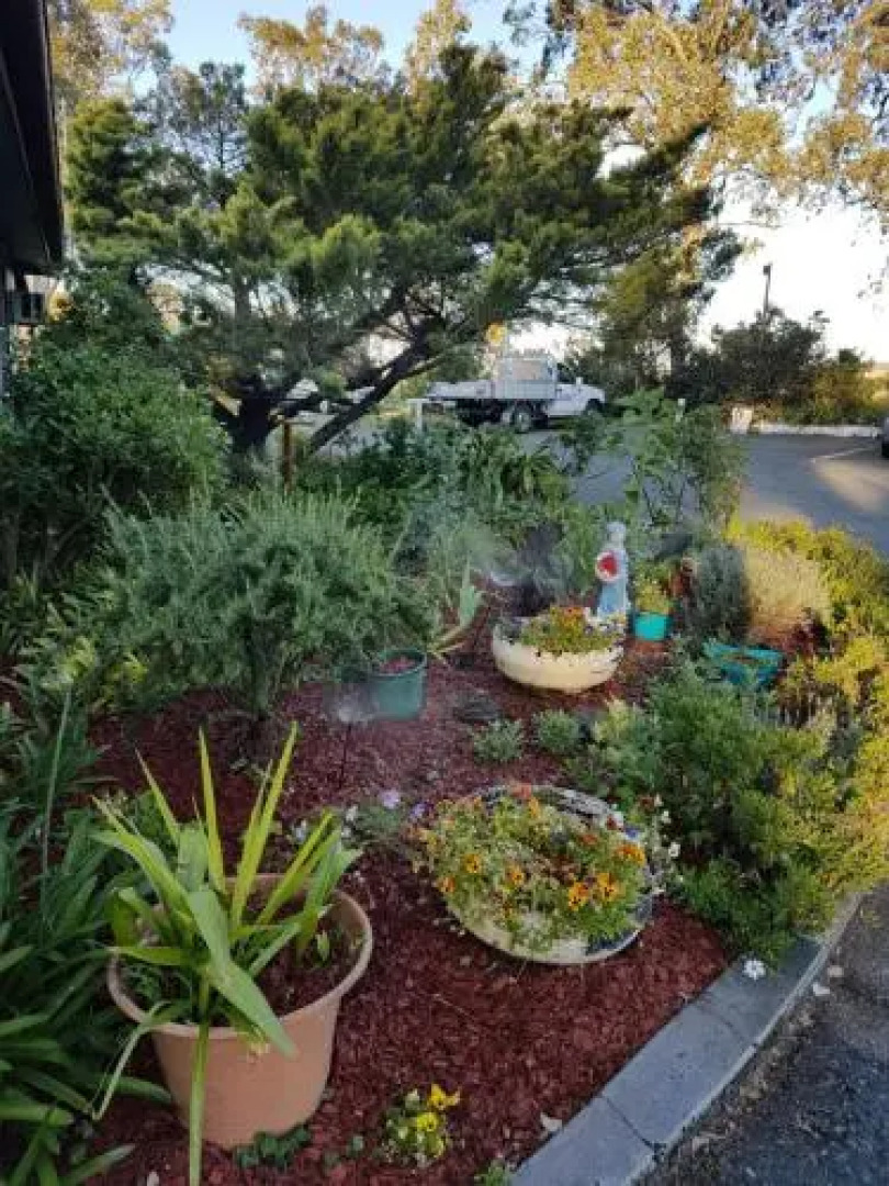 Rose City Caravan Park