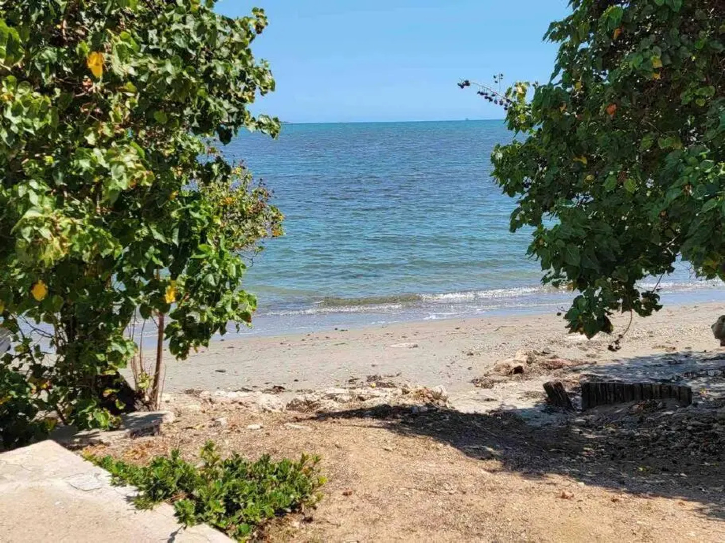 5 star by the sea (oceanview)