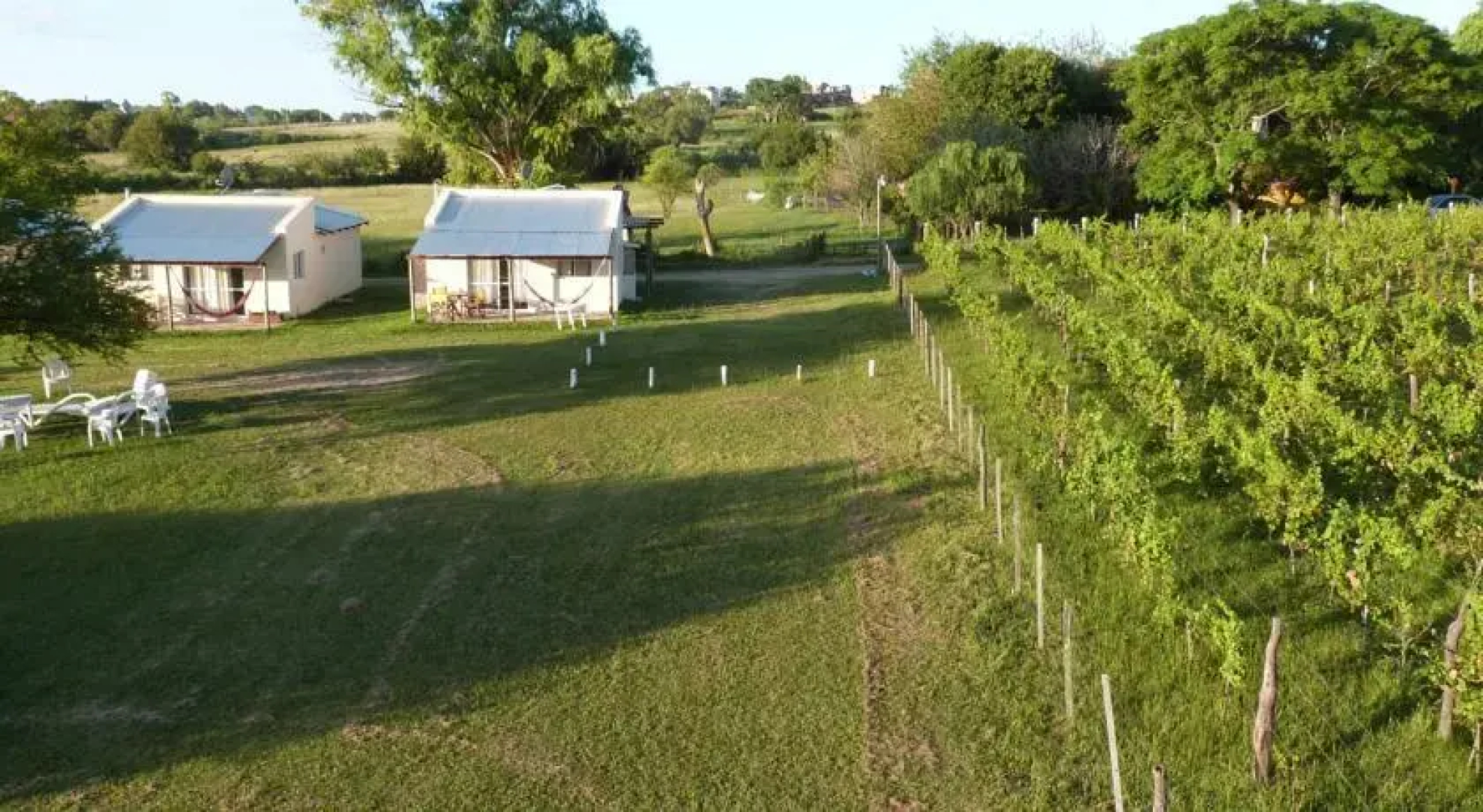 Colinas de Baco