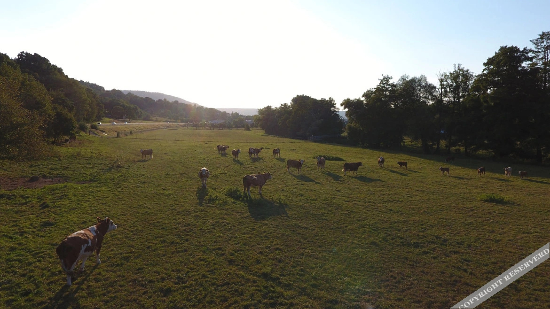Hotel Weinhaus Stern