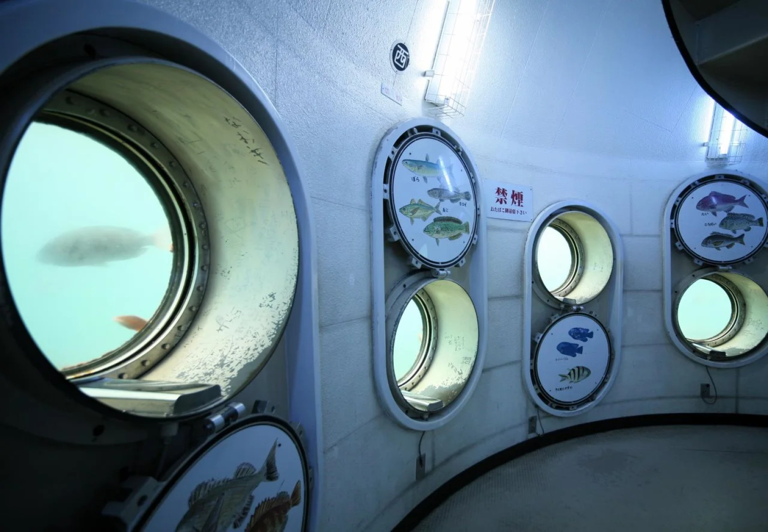 Shirahama Key Terrace Hotel Seamore