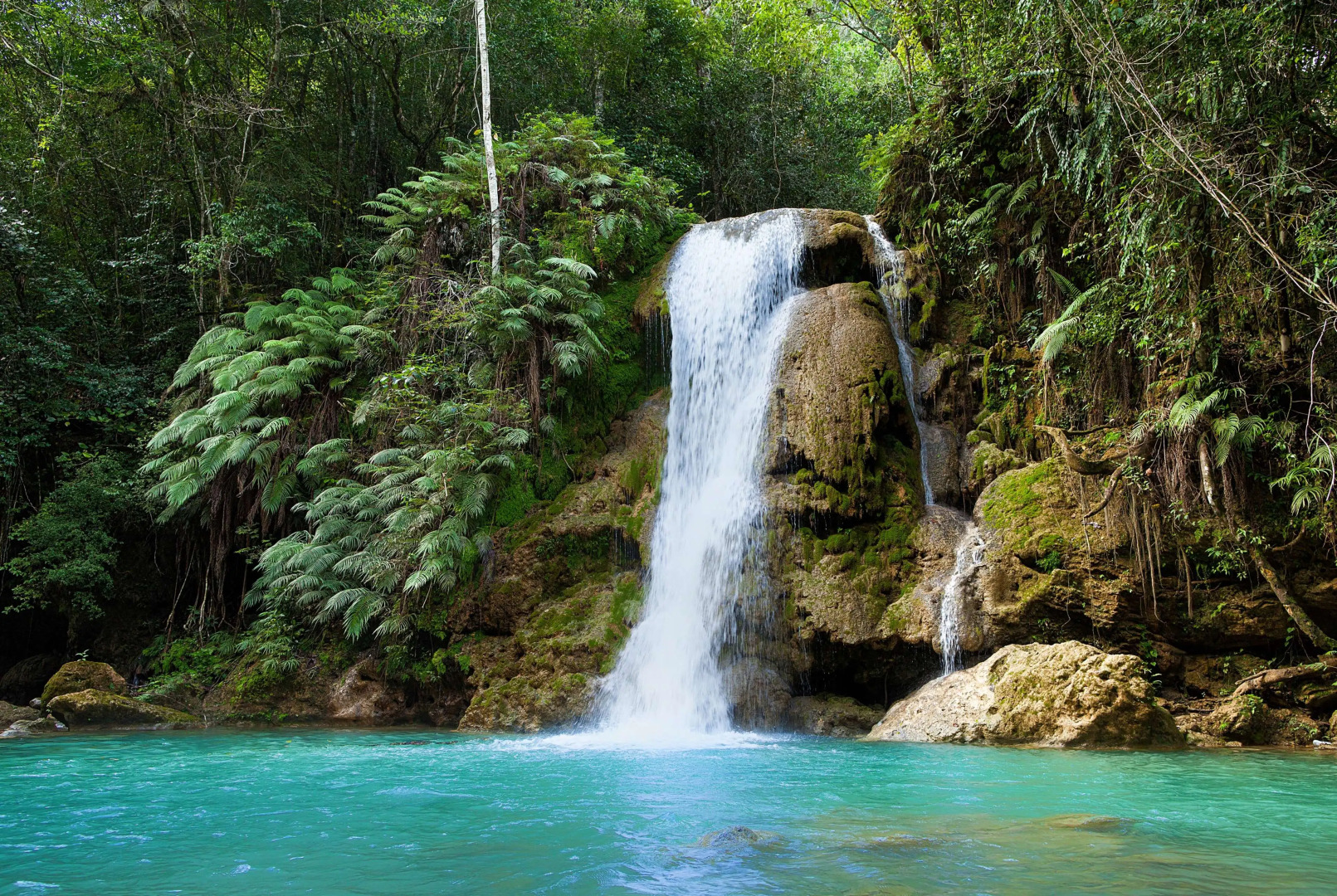 Wyndham Alltra Samana All Inclusive Resort