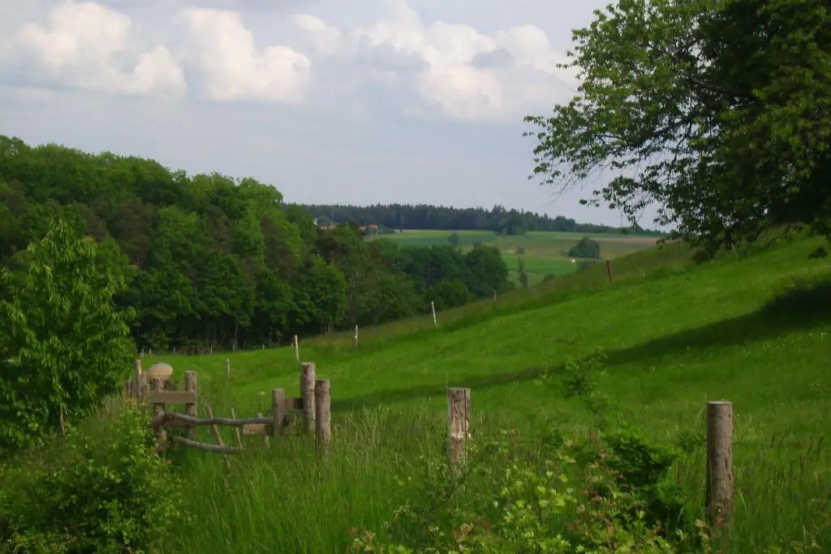 Romantik Hotel Greifen-Post