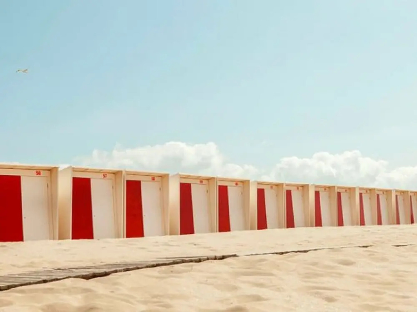 Cozy Apartment in Egmond aan Zee near Beach