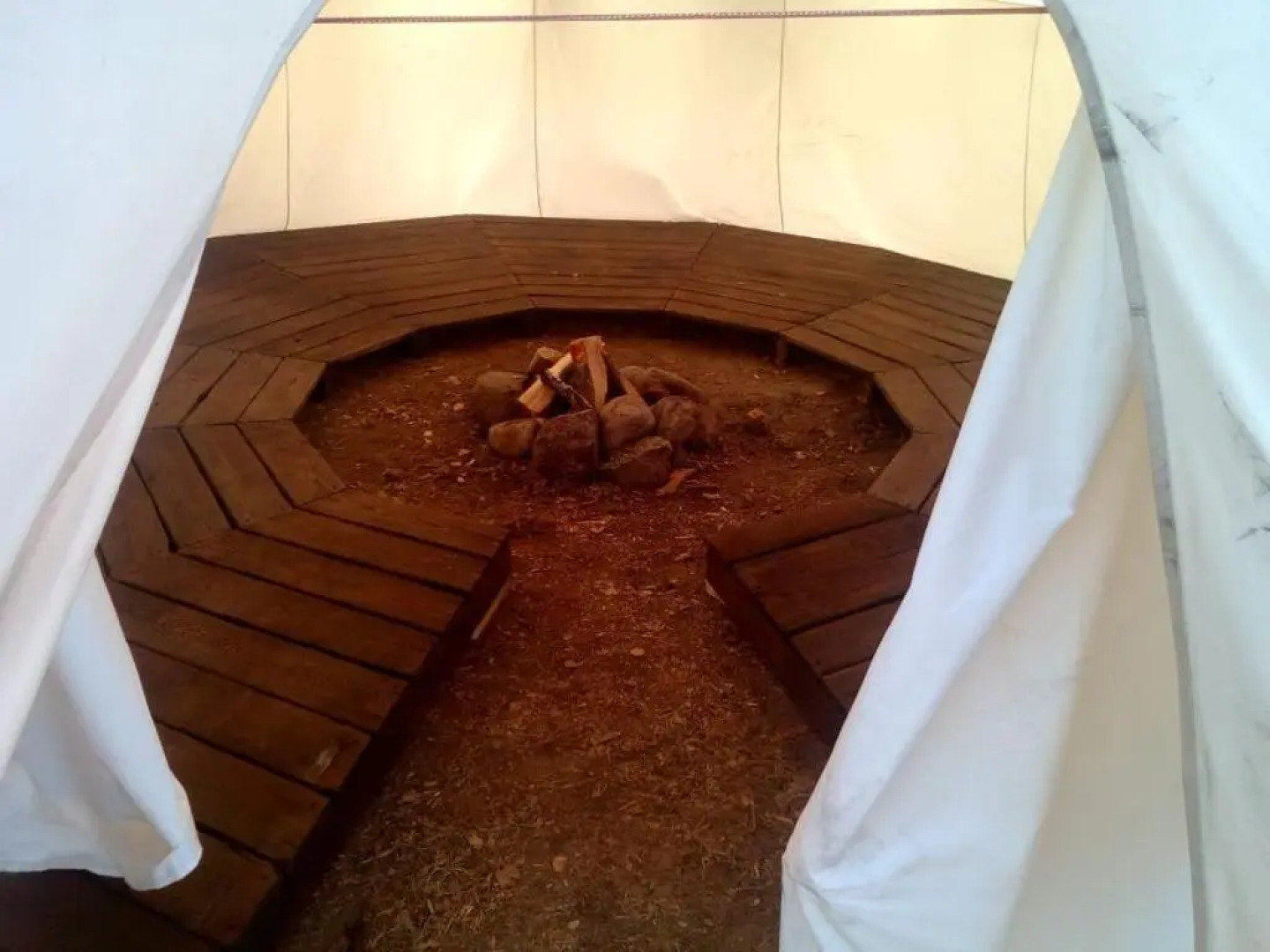 Эко-отель Лес