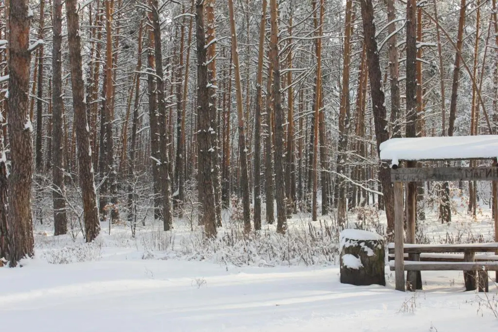 Бутик-отель «Сезоны SPA»