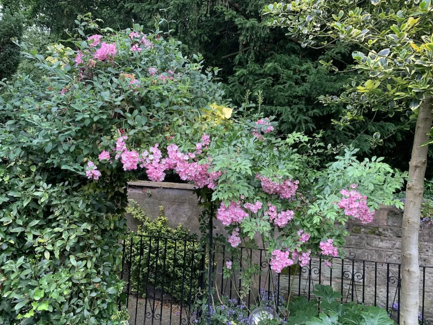 Stylish Central House Next To Warwick Castle