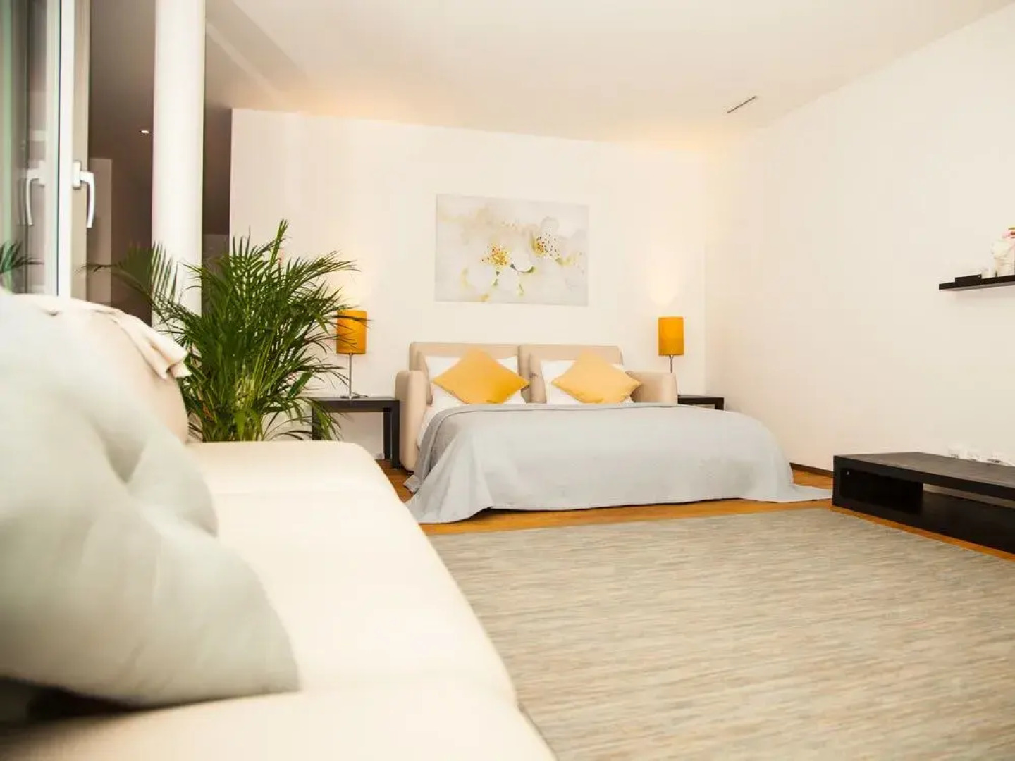 Penthouse Apartments Lakeside