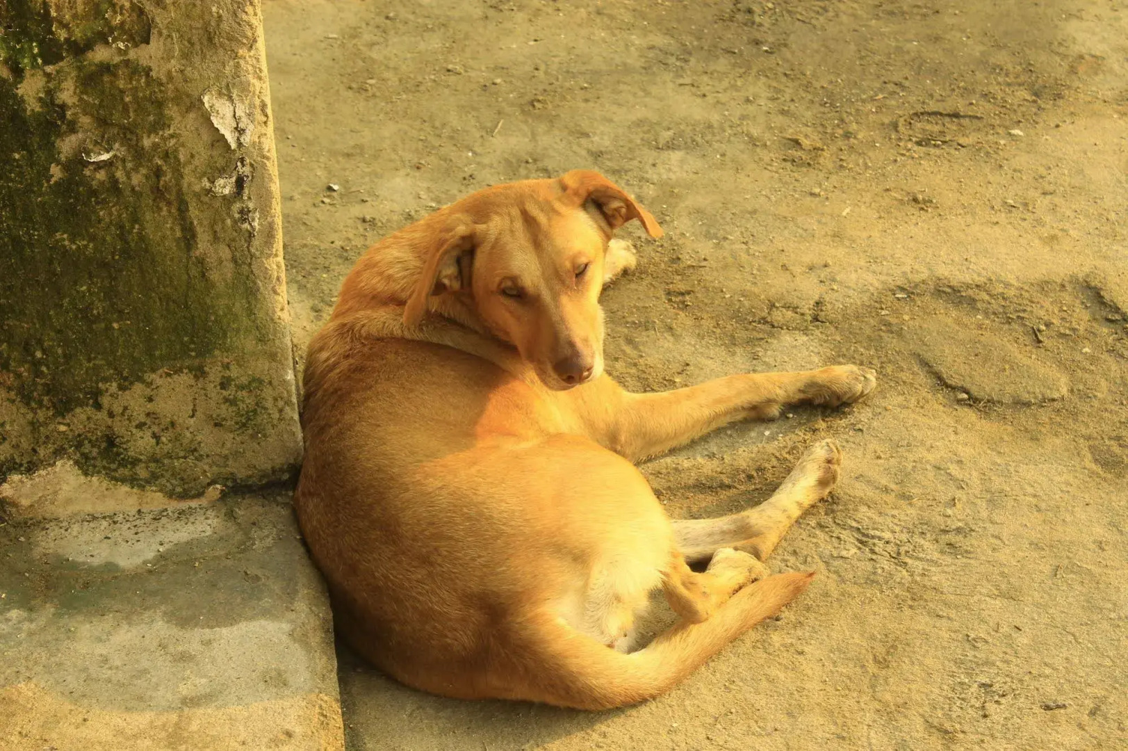 Pousada Mar & Vida e Doçaria