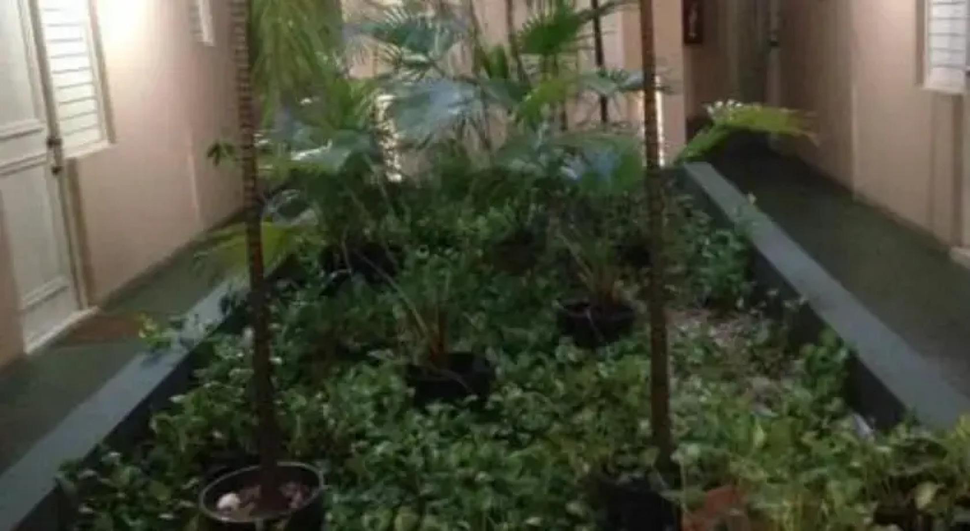 Cozy One Bedroom Apartment