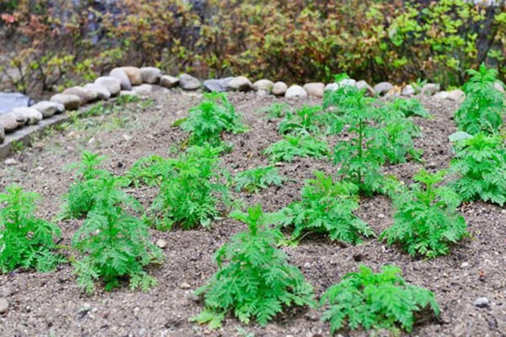Namyangju Narsha Yeonsuwon Pension